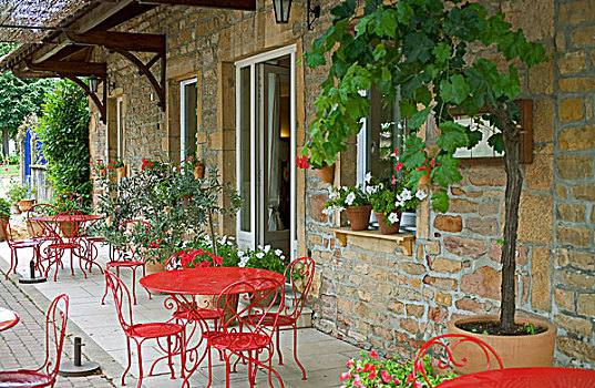 红色,家具,博若莱葡萄酒,酒乡,罗纳河谷,法国