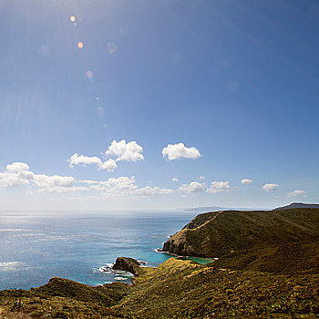 海岸线,新西兰