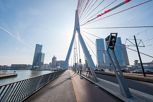 荷兰,鹿特丹,拉斯,缪斯,大桥,erasmus,bridge