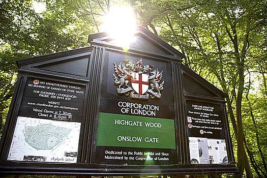 英格兰,伦敦,太阳,树,后面,木头,公司,标识