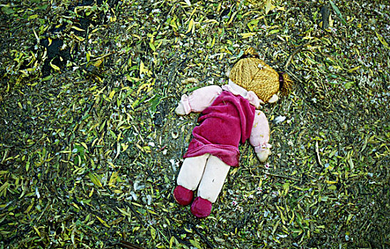 娃娃,稻草,毛发,脸,河,围绕,绿色,叶子,碎片