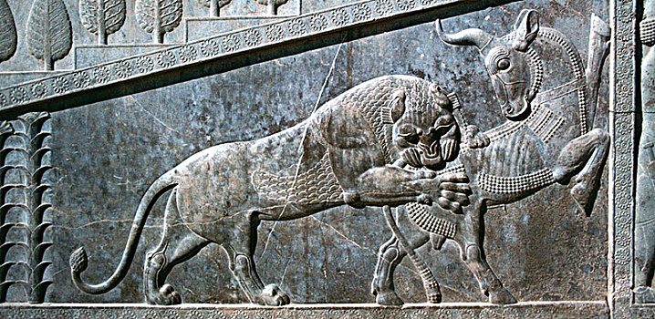 浮雕,雄性动物,狮子,阿帕达纳宫,波斯波利斯,伊朗
