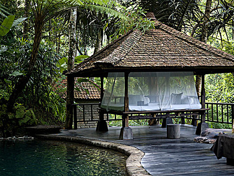 亭子,水塘,树林,巴厘岛,印度尼西亚