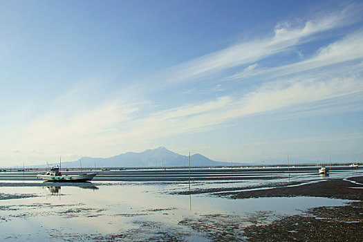 泥滩,海洋,熊本,日本