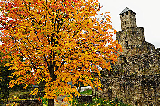 城堡,莱茵兰普法尔茨州,德国