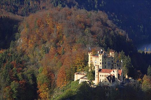 旧天鹅堡,城堡,晨光,巴伐利亚,德国