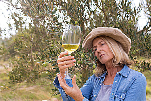 女人,看,葡萄酒杯,橄榄,农场