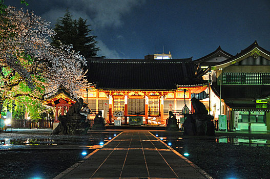 日本东京浅草寺夜景