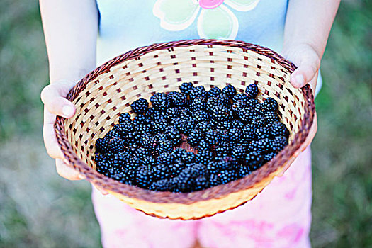 女孩,拿着,篮子,黑莓
