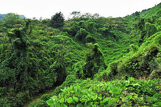 河北省石家庄平山县藤龙山风景区