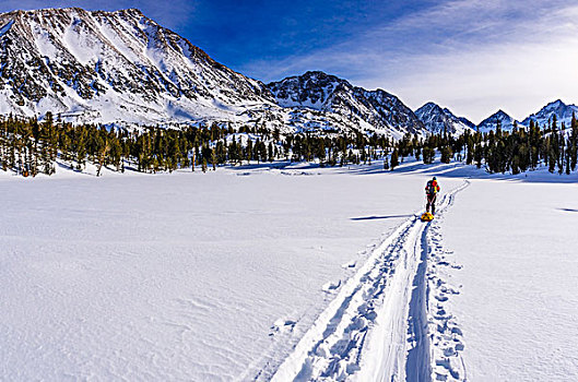 边远地区,滑雪,荒野,内华达山脉,加利福尼亚,美国