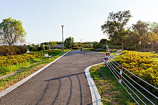 道路