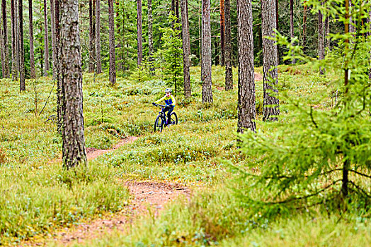 男孩,骑,自行车,树林