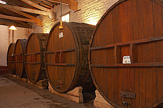 葡萄酒厂,存储,橡木桶