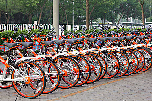 北京街头的共享单车