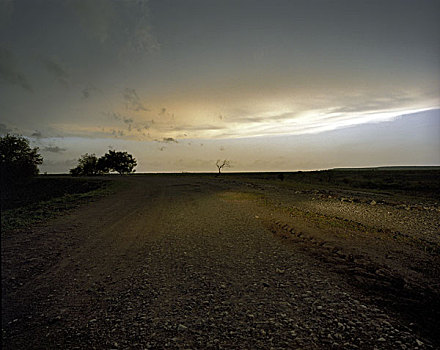 乡村,泥土,道路,日落,孤单,树,古巴