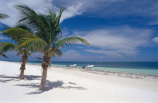 两个,船,棕榈树,海滩,尤卡坦半岛,墨西哥