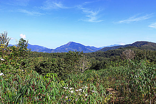 大山风光