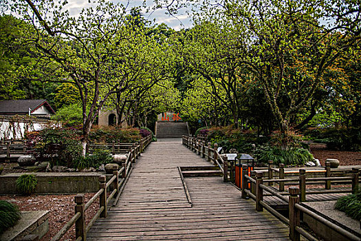 杭州西子湖畔中山公园