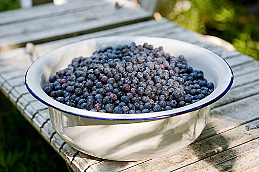 蓝莓,水果,食物