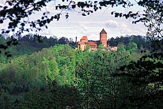 城堡,树林,河,国家公园,拉脱维亚