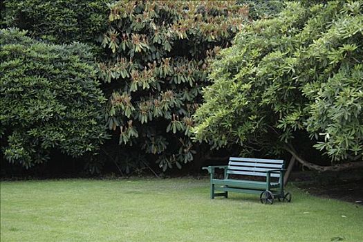 公园长椅,迷失,花园,康沃尔,英国
