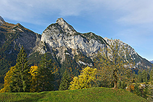 风景,草场,顶峰,提洛尔,奥地利,欧洲