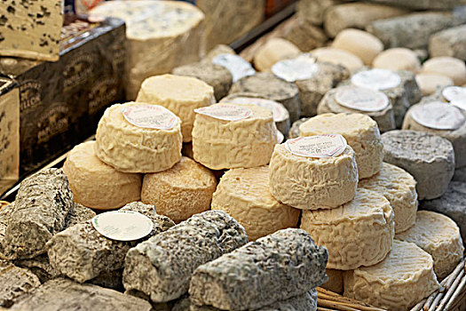 新鲜的,楔,法国山羊奶酪,工匠奶酪店,巴黎,法国