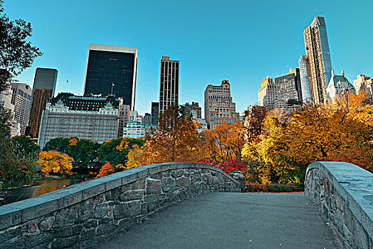 中央公园,秋天,桥,曼哈顿中城,纽约