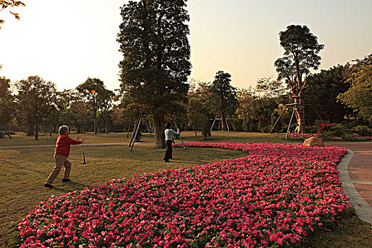 二沙岛发展公园