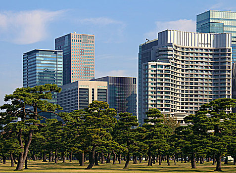 日本,东京,商务区,天际线