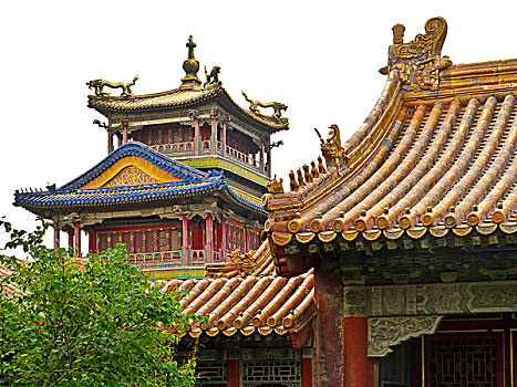 亭子,雨,花,故宫,北京,中国