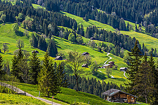 俯视,木屋,山腰,乡村,格林德威尔,少女峰,伯恩高地,瑞士