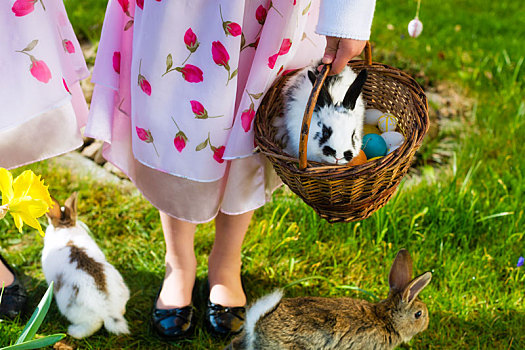 孩子,复活节彩蛋,猎捕,兔子