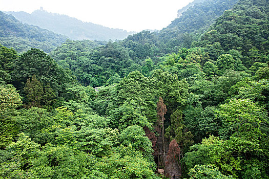 北京植物园