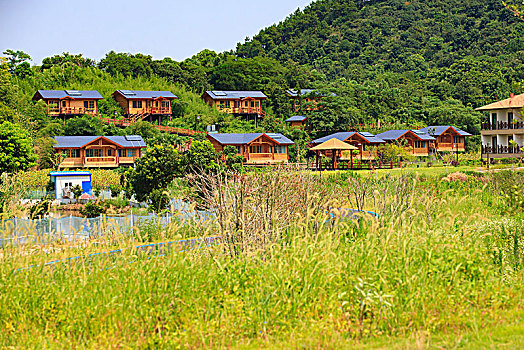 小木屋,草地,房子