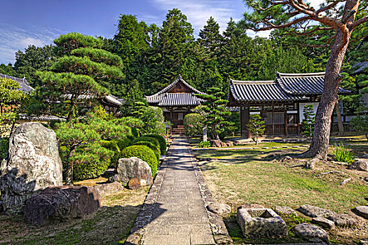 日本,奈良,地面,庙宇,画廊