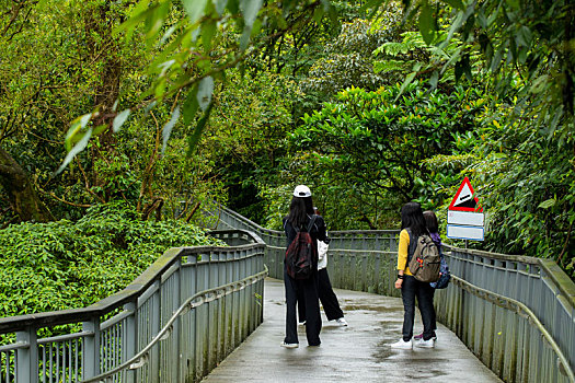 台湾新北市十分寮瀑布公园森林步道