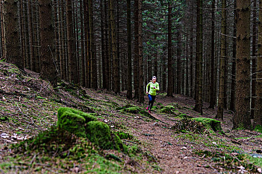 女人,慢跑,树林