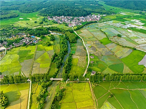 江西金溪,夏日乡村美