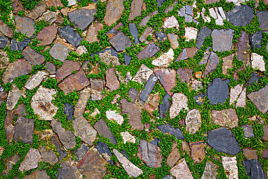 卡塞雷斯,石头,地面,特写,草,西班牙,埃斯特雷马杜拉
