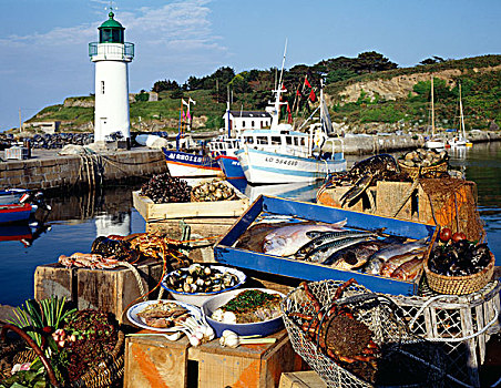 鱼,海鲜,市场货摊,布列塔尼半岛