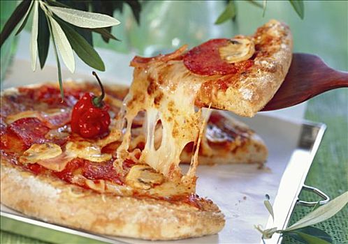 比萨饼,意大利辣香肠,蘑菇,辣椒