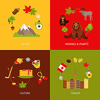 加拿大,彩色,公寓,象征,自然,动物,植物,文化,隔绝,矢量,插画