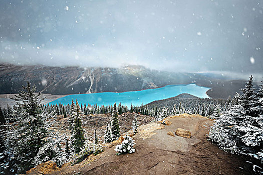佩多湖,冬天,雪,班芙国家公园,加拿大