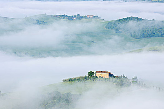 特色,托斯卡纳,风景,农场,早晨,雾,靠近,皮恩扎,锡耶纳,地区,意大利