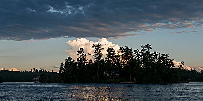 剪影,树,湖岸,湖,木头,安大略省,加拿大