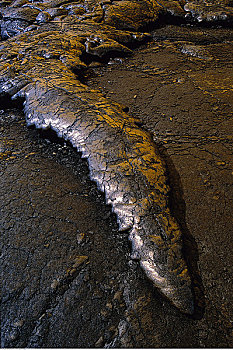 火山岩,地壳,排列