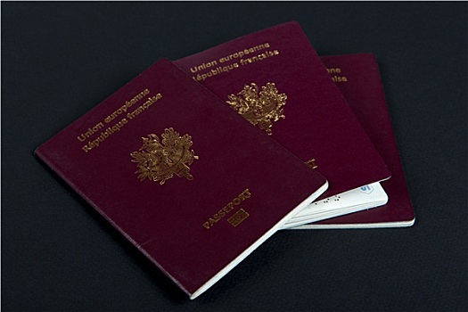 三个,法国,护照