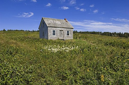 老,房子,地点,岛屿,伽斯佩,魁北克,加拿大